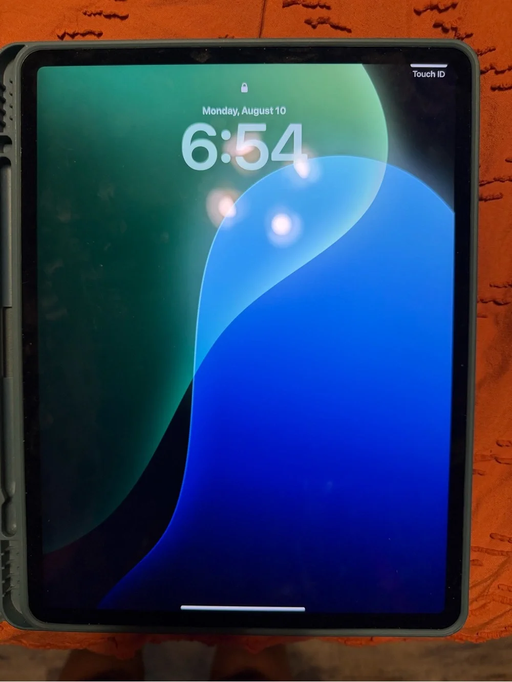 Apple iPad with Blue and Black Display and Gray Case